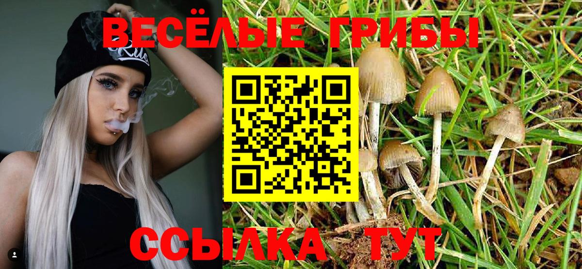 Галлюциногенные грибы прущие грибы  Вход с VPN  Ярославль 