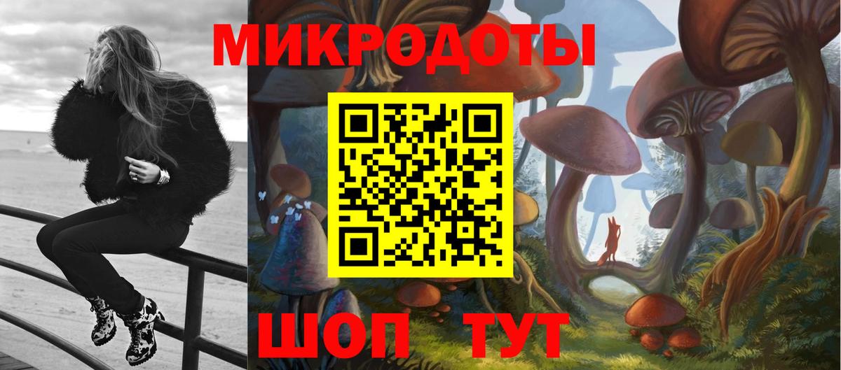 Псилоцибиновые грибы Psilocybine cubensis Ярославль